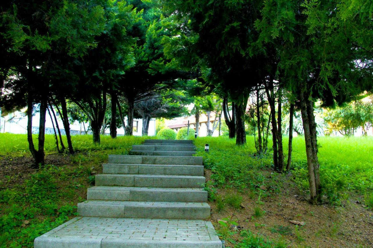Sheki Olimpiya Hotel & Resort ภายนอก รูปภาพ