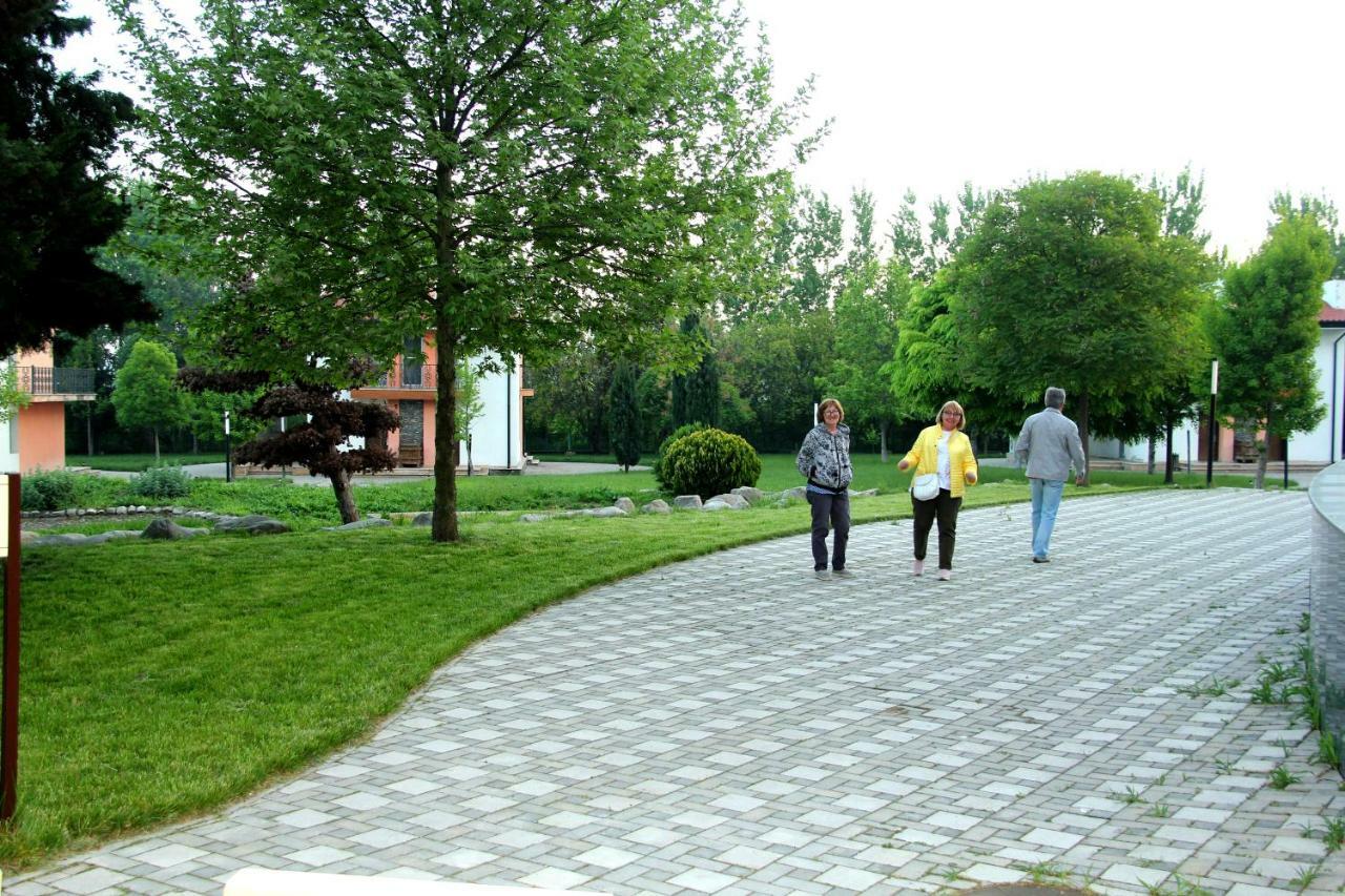 Sheki Olimpiya Hotel & Resort ภายนอก รูปภาพ